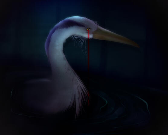 HERON